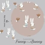 Bio-French-Terry Funny Bunny
