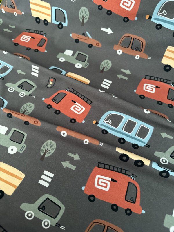 Bio-Jersey Cars 2.0 – Bild 2