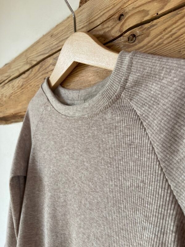 Monster Sweater limitiert – Bild 4