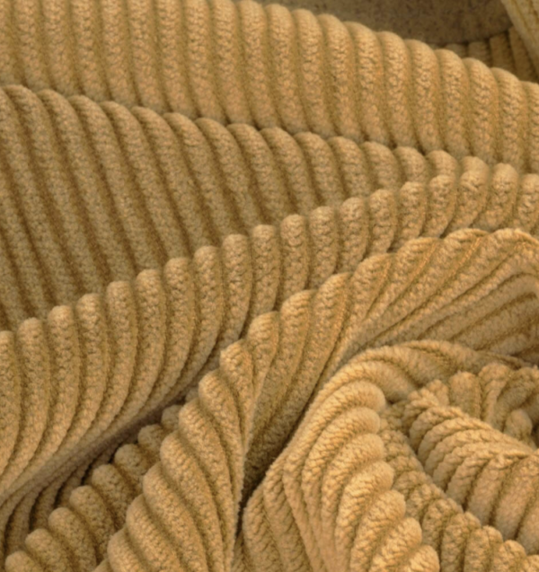 Breitcord Mustard – Bild 2