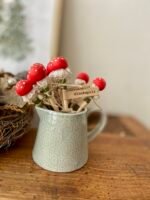 Kleiner Glückspilz – Bild 3