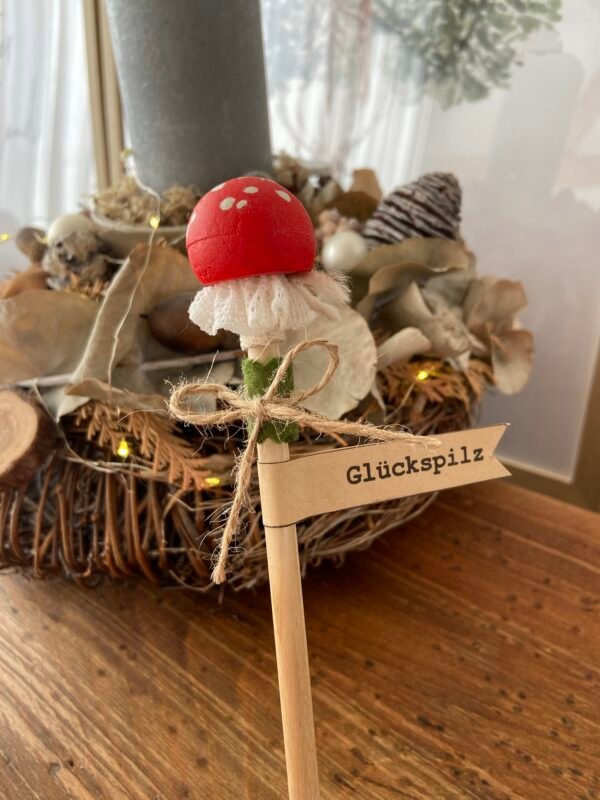 Kleiner Glückspilz – Bild 2